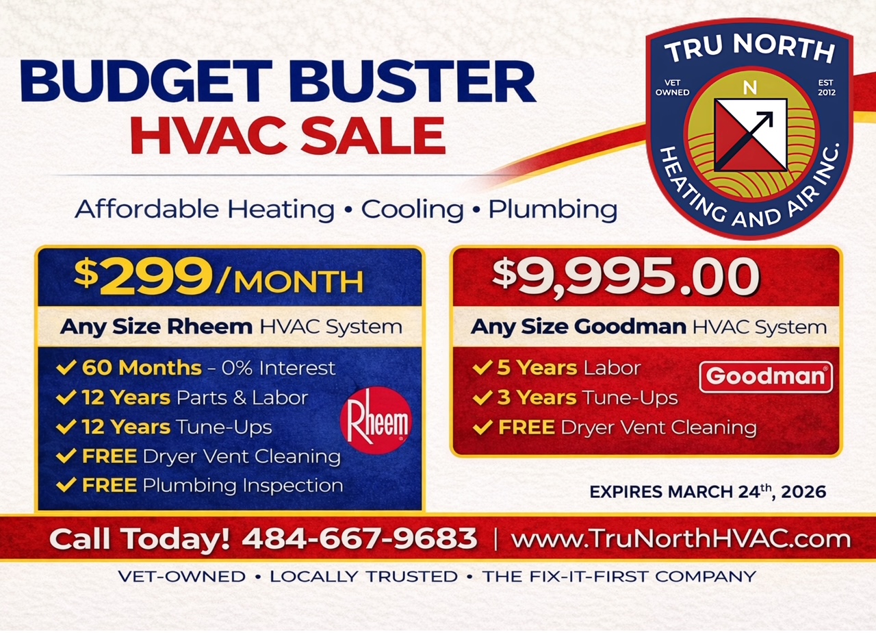 Budget Buster Promo image